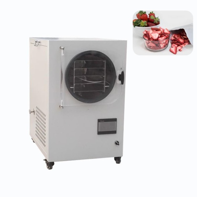 Wholesale freeze dried fruit vacuum dryer freeze drying lyophilizer price