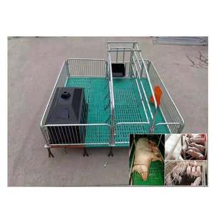 Sow farrowing bed High quality hot sell finishing crates fatten pen pig breeding farms for pig farm