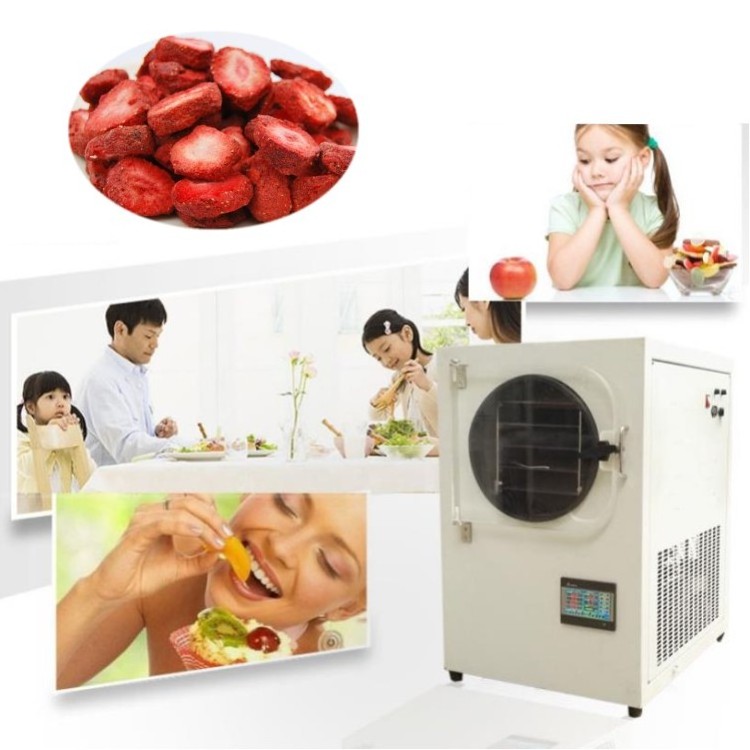 Wholesale freeze dried fruit vacuum dryer freeze drying lyophilizer price