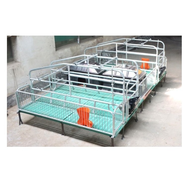 Sow farrowing bed High quality hot sell finishing crates fatten pen pig breeding farms for pig farm