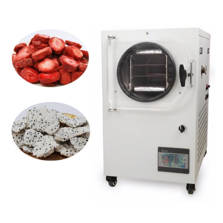 Wholesale freeze dried fruit vacuum dryer freeze drying lyophilizer price