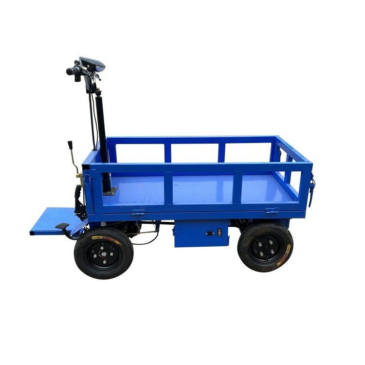 electric garden trolleys kenya cargo tricycle/cargo electric tricycle/small flatbed truck