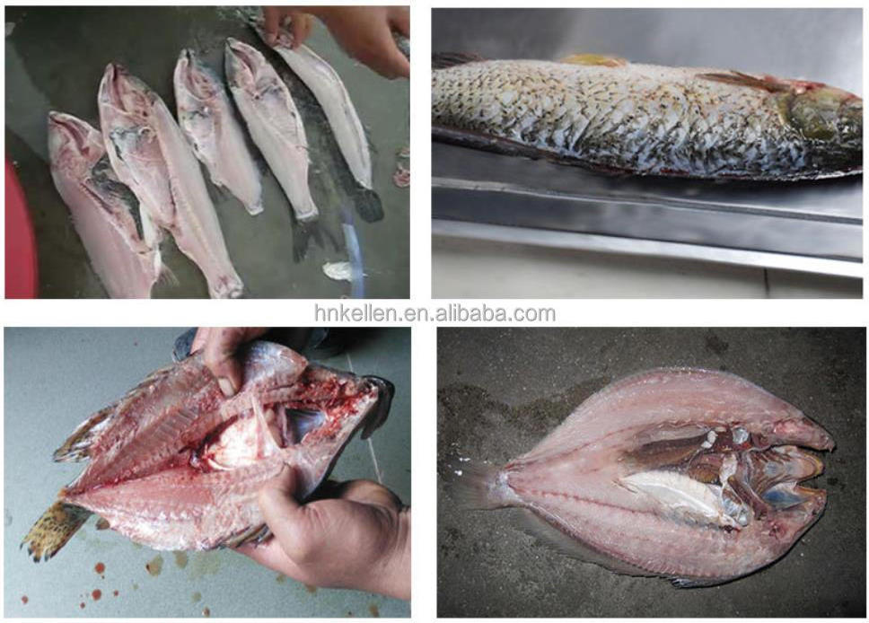 Stainless steel fish skin slice cutting scaler removing machine automatic fish killing machine for slaughtering fish