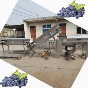 Electric fresh grape crusher destemmer remove machine grape destemmer and crusher for wine