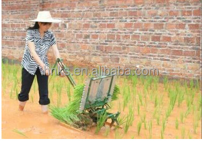 Single line home use Paddy planter/rice planting machine/popular rice seeder planter for paddy Transplanter