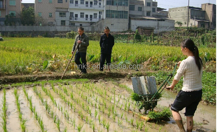 Single line home use Paddy planter/rice planting machine/popular rice seeder planter for paddy Transplanter