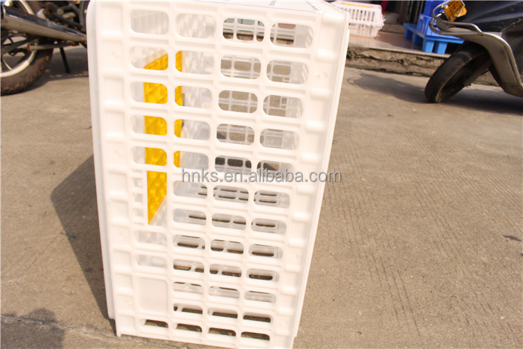 Plastic Duck cage poultry transport cage live pigeon broiler chicken transport cage chick transport box for sell