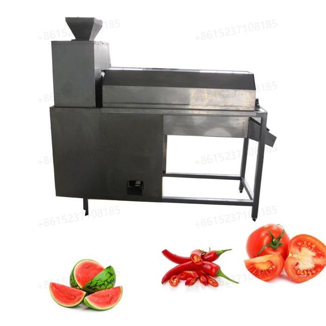 1000 kg/h Grape Seeds Separating Pulping Machine Tomato Seed Remover watermelon fresh chili tomato seeds separator machine