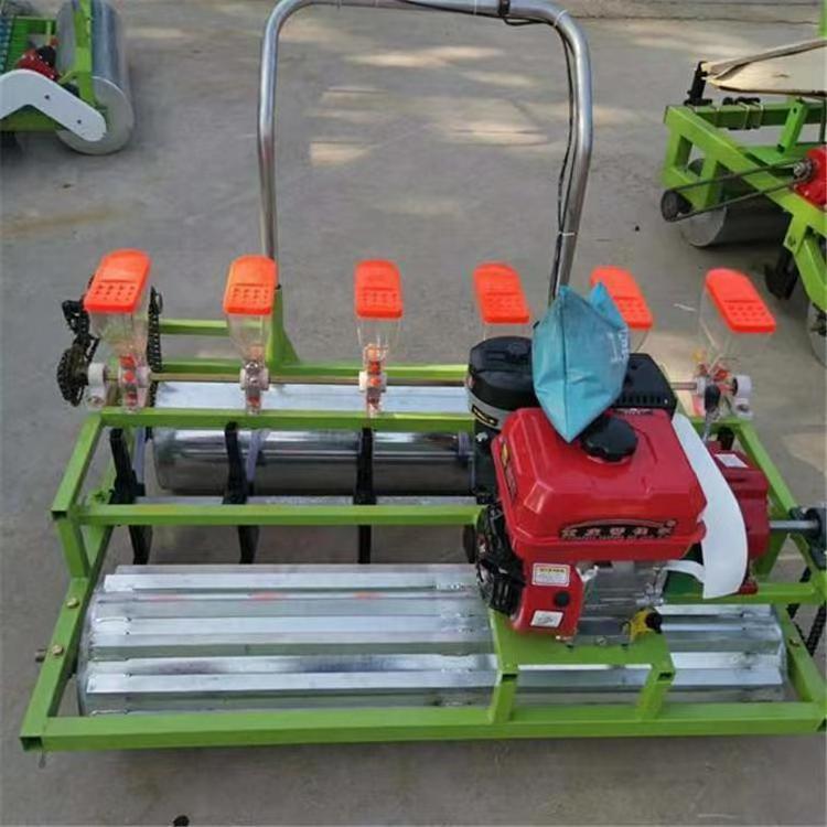 Factory Supply Small Vegetable Seeder Planting Machine Used/New Condition Sale for Carrot Onion Lettuce Rapeseed Seeding