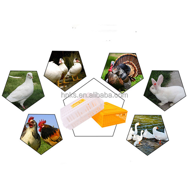 Plastic Duck cage poultry transport cage live pigeon broiler chicken transport cage chick transport box for sell