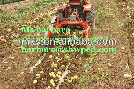 Factory Supply Agricultural sweet potato harvest machine one row farm tractor mounted potato digger