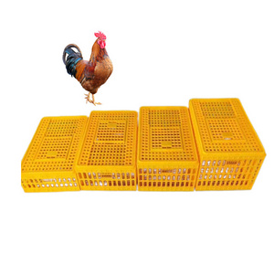 Plastic Duck cage poultry transport cage live pigeon broiler chicken transport cage chick transport box for sell