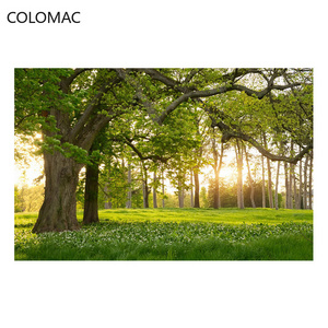 Colomac Custom 3d Natural Landscape Green Forest Woods Wallpaper Living Room Background Mural Bedroom Decorations