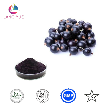 Botanical extract Black currant fruit Extract