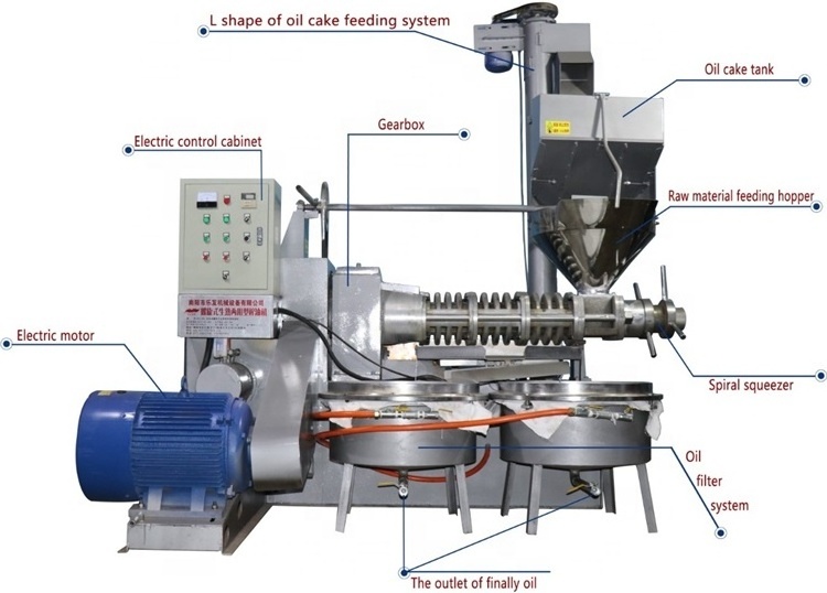 Barbary fly oil extraction machine Spiral Oil Press Machine soybean sunflower seed oil presser