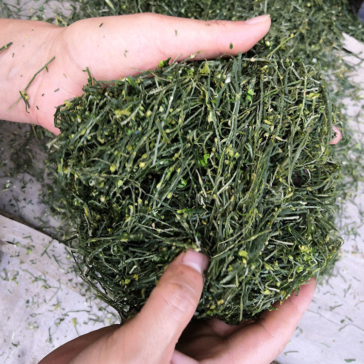 Dry tea leaf vine leaves cutting machine commercial herb leaves shredder matcha tea slicing machine easy to operate