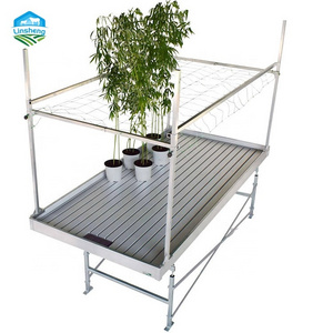 Ebb And Flow Tray Greenhouse Nursery Growing Table Seedbed  hemp planting nursery equipment soilless cultivation orbital seedbed