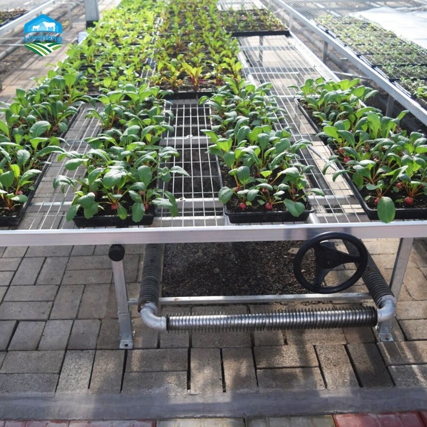 Ebb And Flow Tray Greenhouse Nursery Growing Table Seedbed  hemp planting nursery equipment soilless cultivation orbital seedbed