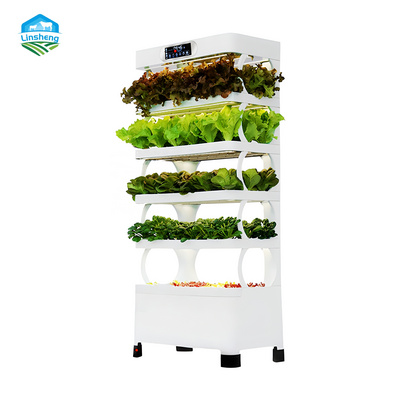 Hydroponic vegetable planting machines farm garden indoor LED light  Hydroponic vegetable planting machines custom planting box