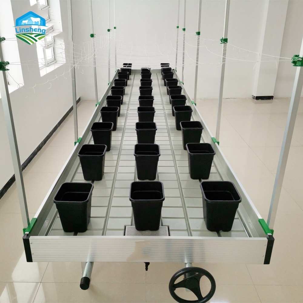 Ebb And Flow Tray Greenhouse Nursery Growing Table Seedbed  hemp planting nursery equipment soilless cultivation orbital seedbed