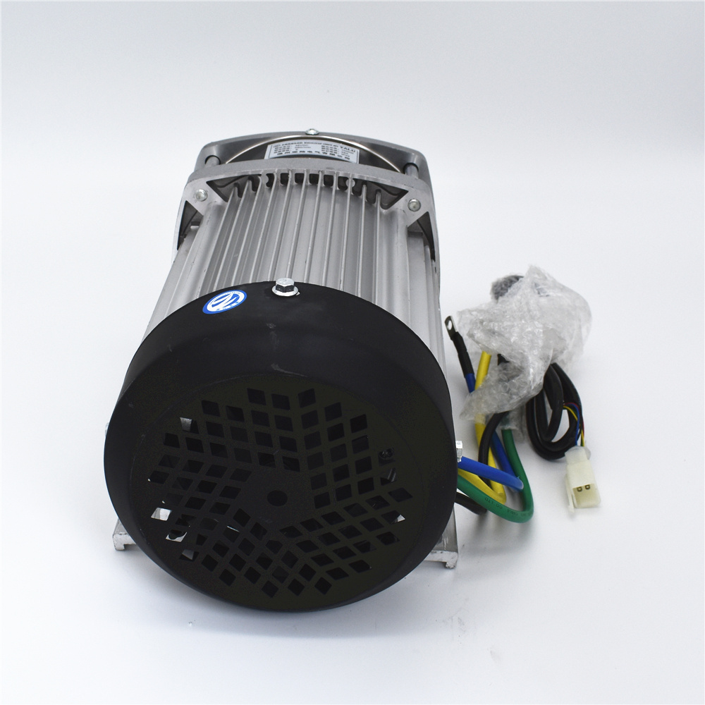 48V 1000W Cargo Rickshaw Electric Engine Brushless DC Motor Tricycle Motor with Controller