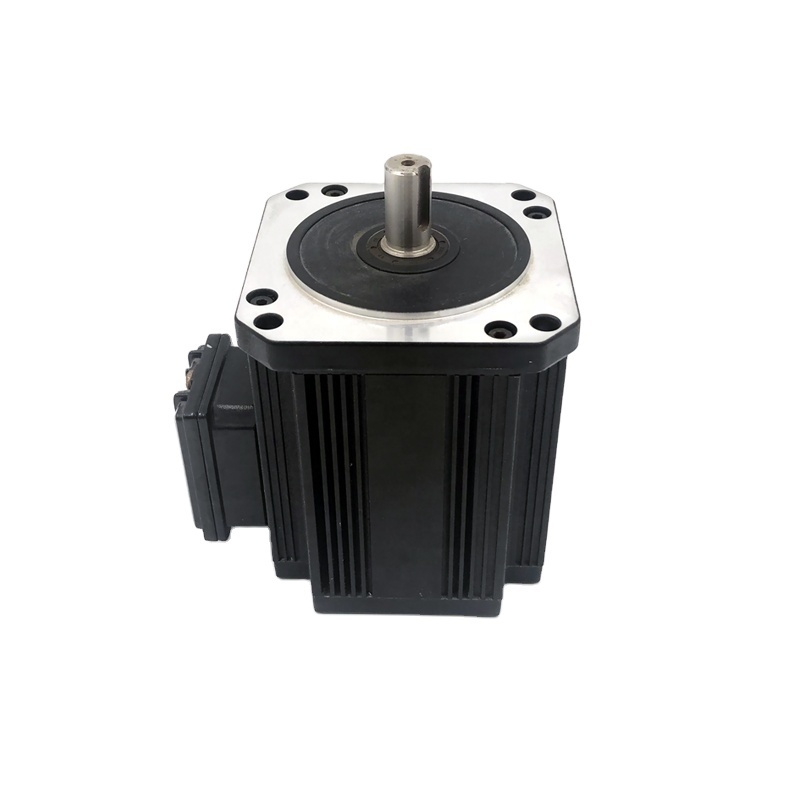 Permanent Magnet High Torque 24V 48V 220V 3000rpm Brushless DC Motor