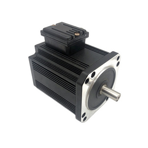 Permanent Magnet High Torque 24V 48V 220V 3000rpm Brushless DC Motor