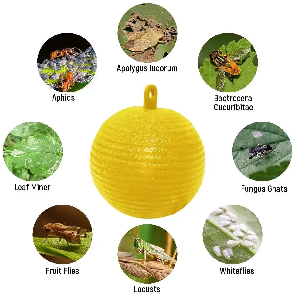 Outdoor Disposable Hanging Wasp Trap Plastic Insect Catcher Sticky Glue Fruit Fly Trap Bug Ball