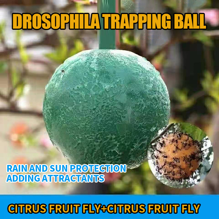 Outdoor Disposable Hanging Wasp Trap Plastic Insect Catcher Sticky Glue Fruit Fly Trap Bug Ball