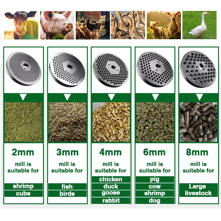 Feed pellet machine cattle and sheep concentrated feed pellet feed processing equipment