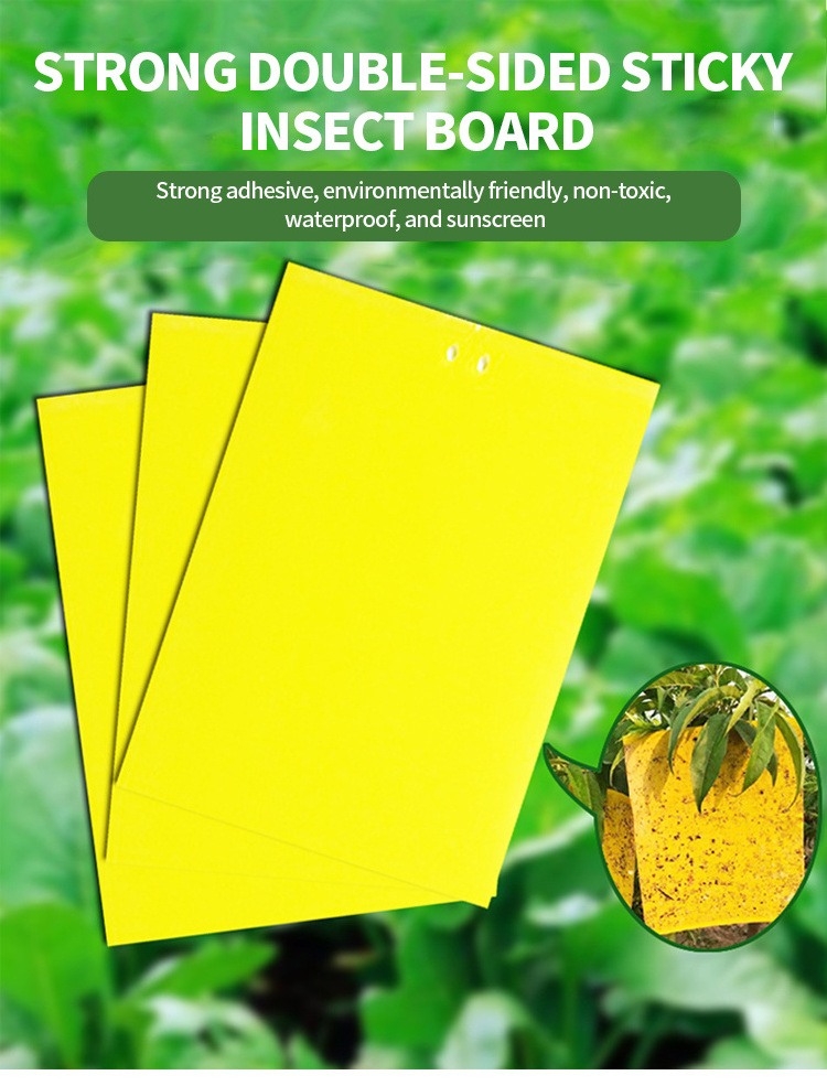 Fly Trap Indoor Outdoor Flying Insect Glue Trap Board Non Toxic Sticky Fly Catcher For Kitchen