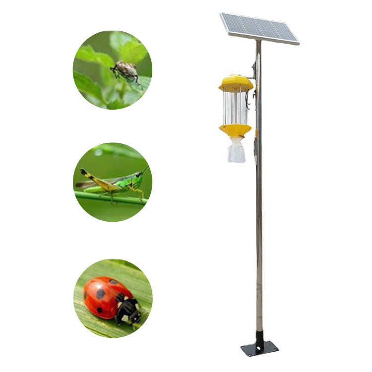 Insect control mosquito lamp solar insecticidal lamp for farm mosquito zapper on solar energy outside the door killing