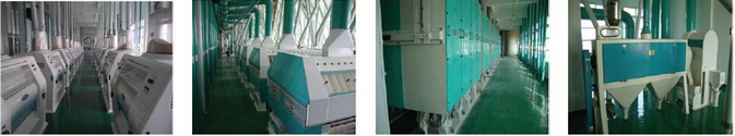 10-100 TPD wheat flour milling machine /High efficient wheat flour mill plant/ Wheat grinding machine