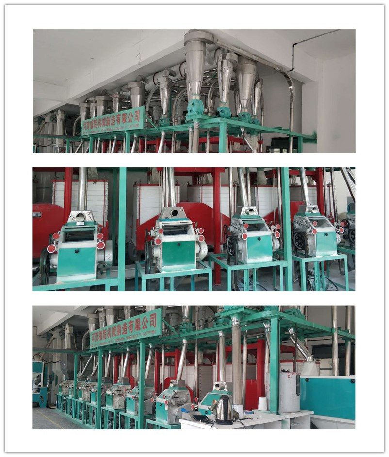 durum wheat semolina semolina-mills semolina purifier 30ton wheat flour mill