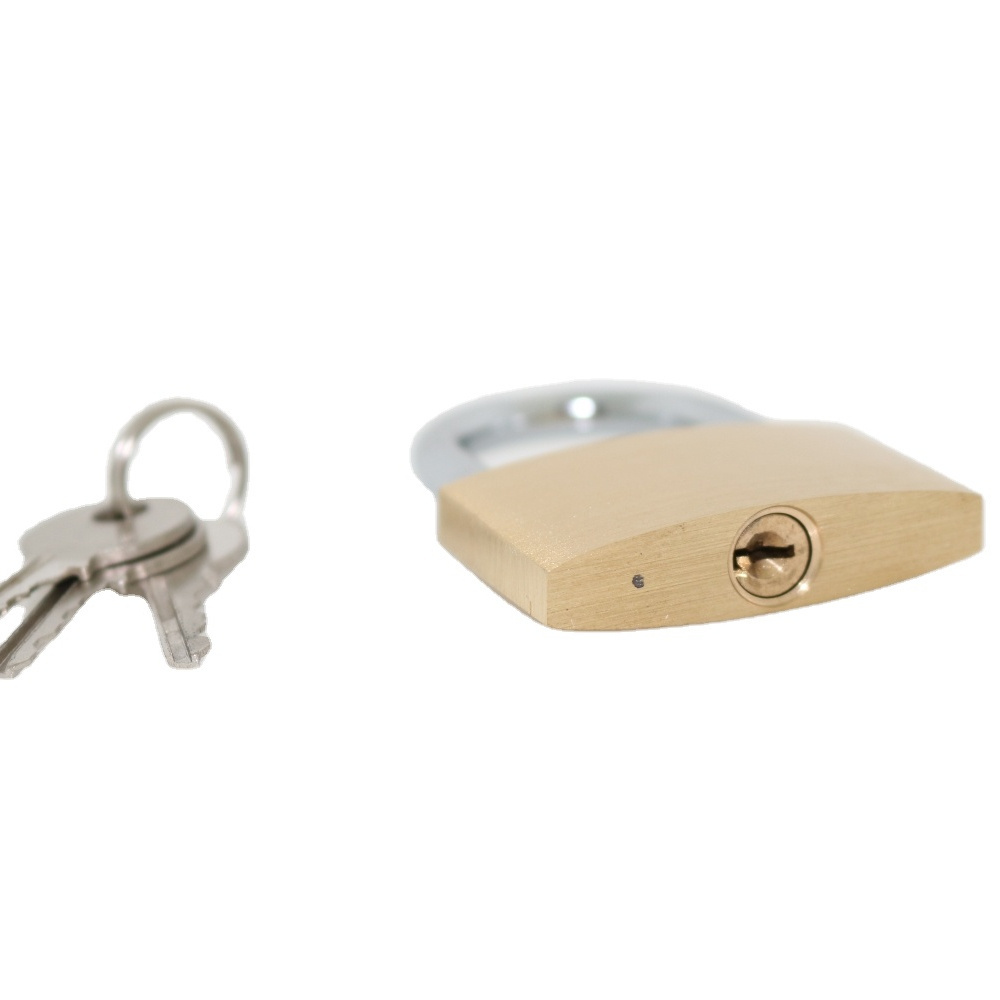 20-60mm China support customized cheap safety keyed alike keyed different globe lock brass padlock