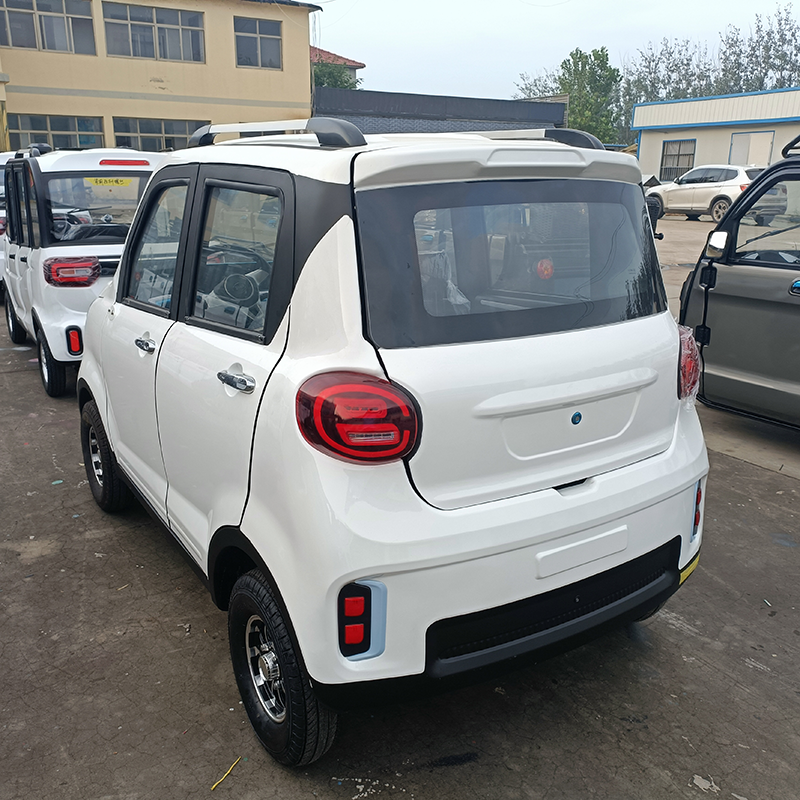 Runtoe 2024 New Electric Vehicle Ora Good Cat Cheap Chinese Low Speed EV Cars Pure Electric Mini Energy Electric Car