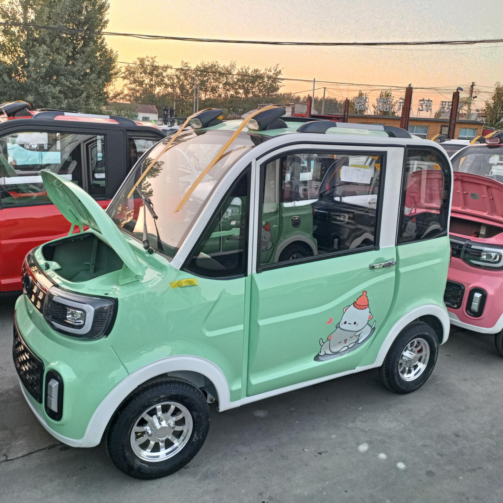 China Manufacturer 3 Seat 4 Wheel Enclosed Mobility Mini Scooter Electric Cars for Sale