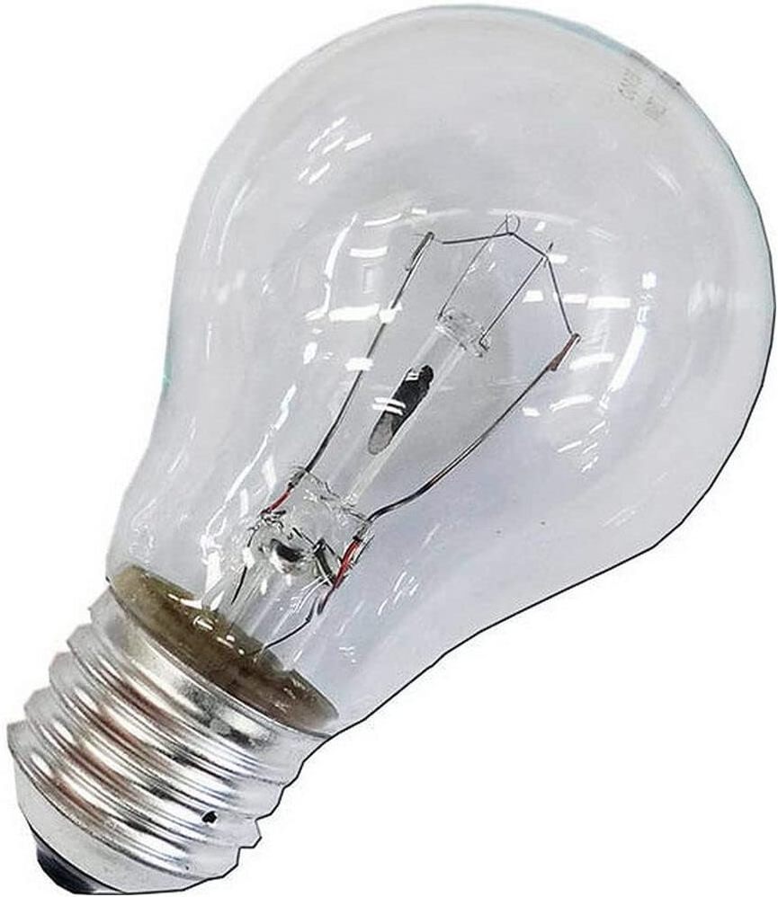 Vintage A19 Clear Incandescent Light Bulb 60W 2700K Soft White E26 Medium Base 130V