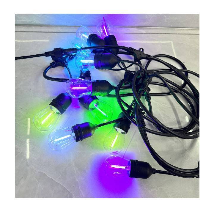 S14 E26 E27 Festoon LED Color changing RGB Dimmable filament String Light with Remote Controlled