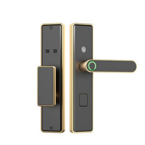 Facial Recognition Elegance Smart Door Lock Memory Card Fingerprint Glass Door Lock Aluminum Alloy English Color Box Packing