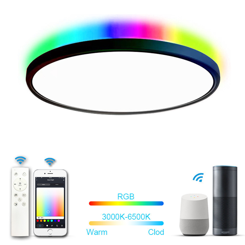 Alexa Google Home APP Control Ultra Thin Flush Mount 12 Inch 24W Dimmable Smart Color Changing RGB Led Ceiling Light