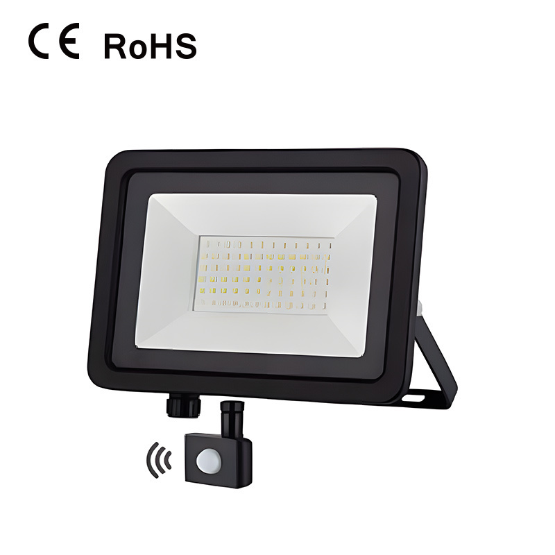 RGB CCT LED Flood Lights 10W-100W Outdoor Bluetooth Smart RGB Floodlight APP Control for Outdoor