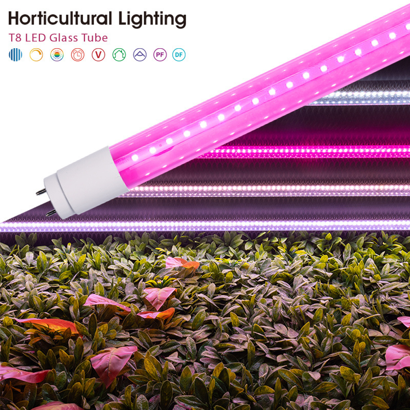 China Factory CE/ERP/ROHS 85-265V 2-200W  BR30/PAR38 Full Spectrum LED Growing Light Horticultural Lighting