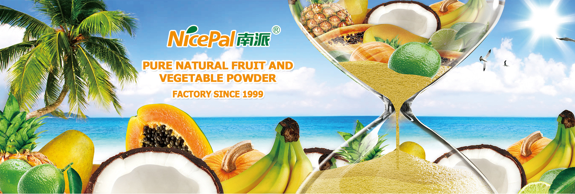 Ingredients for  Protein Products  Fruit Powder Coconut Milk Powder Coconut Powder