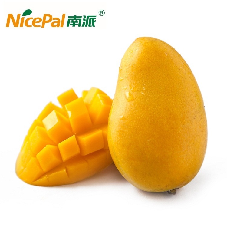 For Ready To Drink Powder/Meal Replacement Easy to Use Taste Well Nicepal Mango Powder