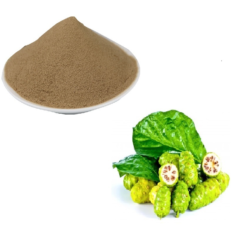 Natural Plant extract low fat gluten free Noni Juice Powder for beauty healthcare tea capsules tablets instant tea rich in fiber