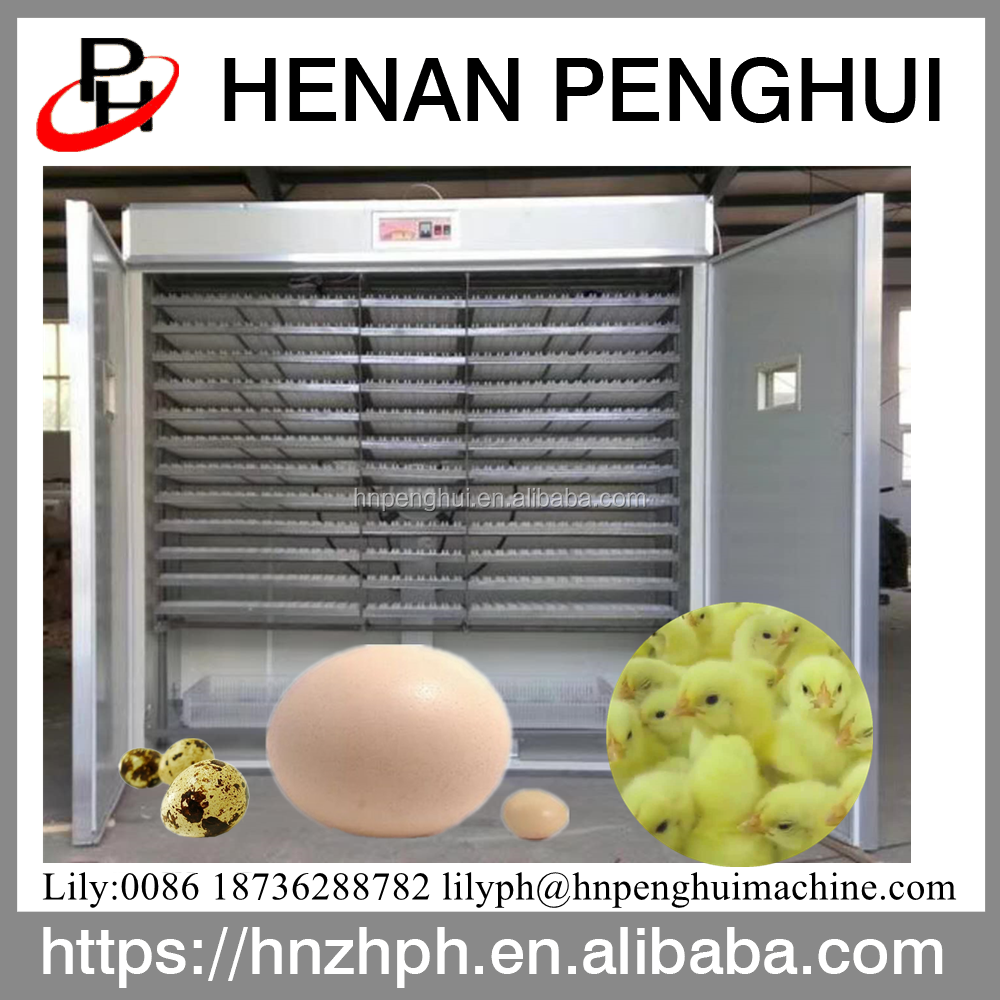 Hot Selling 500 Chicken Eggs Hatching Machine Commercial Incubator Fully Automatic