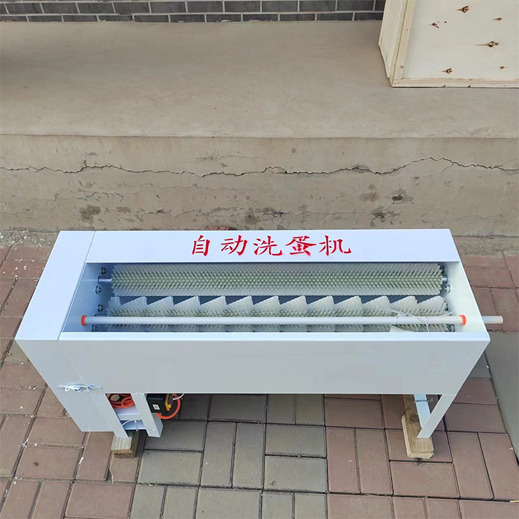 Automatic Electric Goose Egg Wash Cleaner Washer Machine For Sale