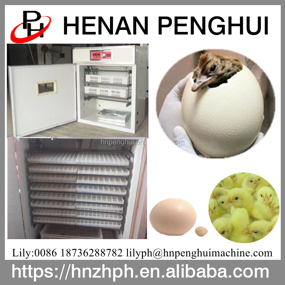 Hot Selling 500 Chicken Eggs Hatching Machine Commercial Incubator Fully Automatic