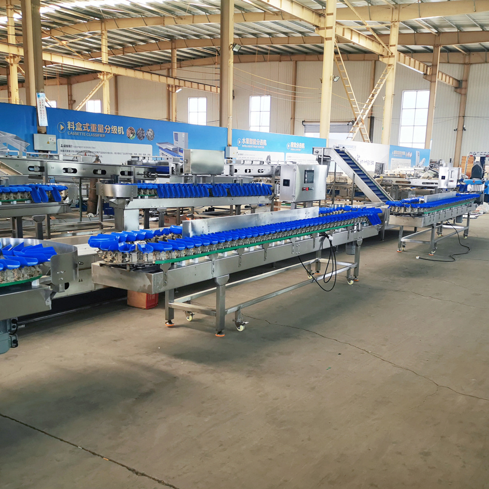 Industrial Conveyor Weight Sorting Machine Chicken Fish Seafood Meat Sorter Grading Machine